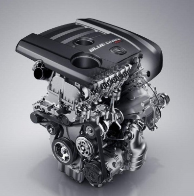 Двигатель Blue Whale D20TG-AA 